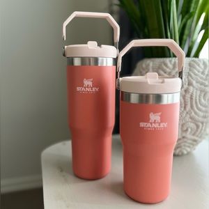 STANLEY 20oz & 30oz IceFlow Tumbler Set in Grapefruit